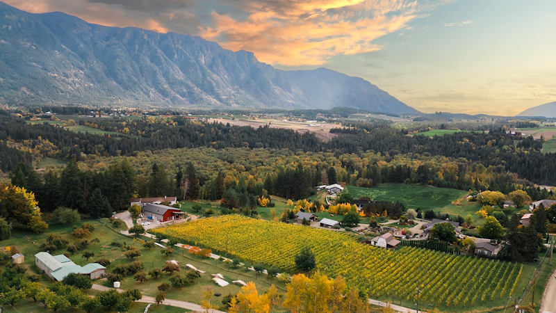 Red Bird Winery - Creston BC
